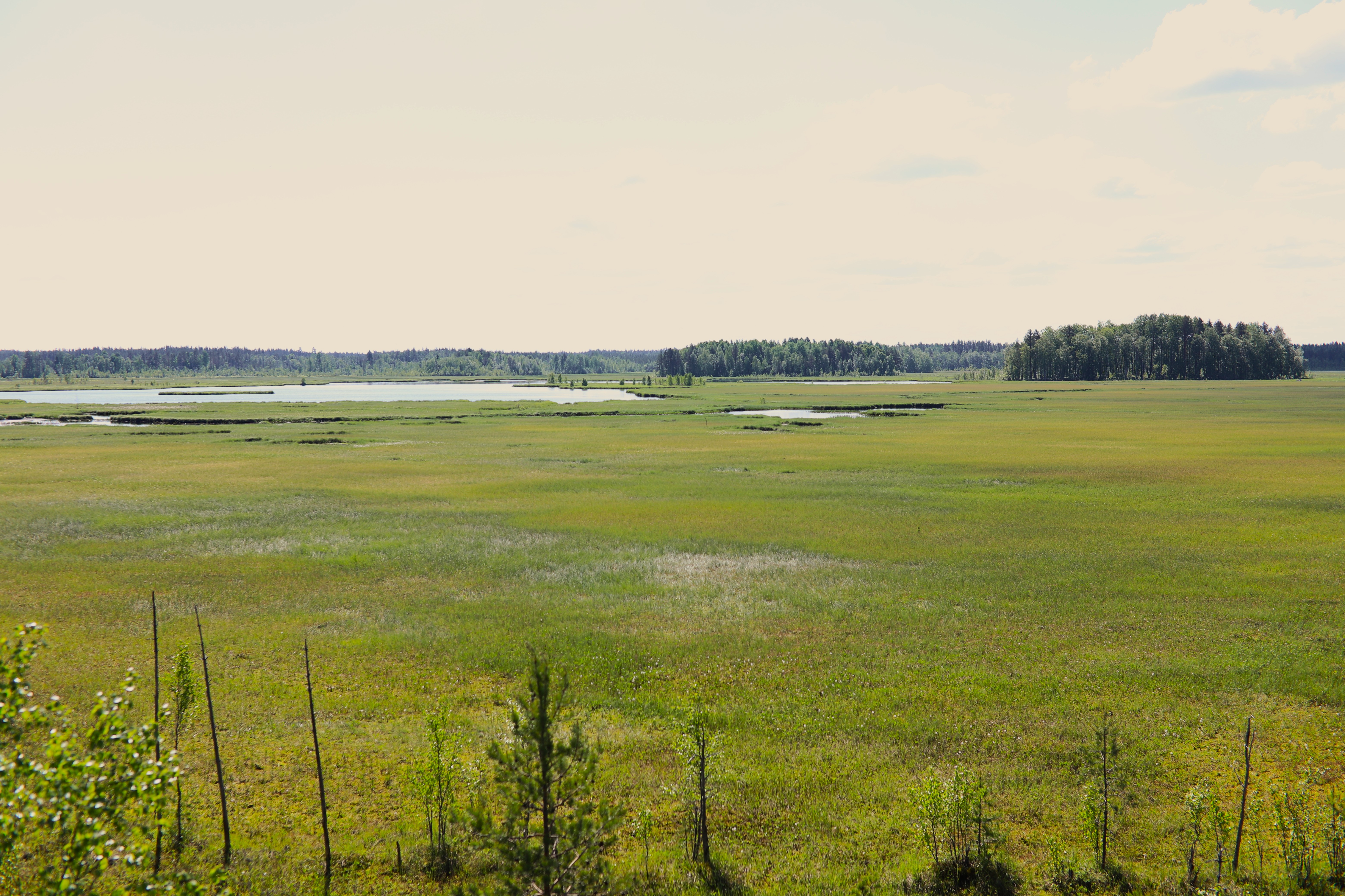 Lamujoki