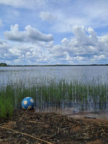 Sininen pallo kaislikossa