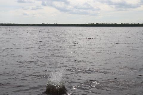 Pärskeitä Pyhännänjärvellä