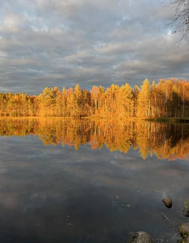 Syysmaisemaa Iso Lamujärveltä